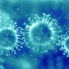 The Flu Returns!