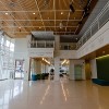 La Escuela de Teatro de la Universidad de DePaul Anuncia el Proyecto Canopy de Creative Root Para Niños