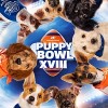 Anti-Cruelty Alum Emmylou Represents Chicago in Puppy Bowl