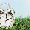 Time to Spring Forward