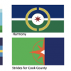 Cook County Announces Finalists in Flag Redesign Competition