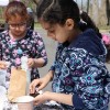 Celebre el Día del Planeta con Voluntariado y Eventos en las Reservas Forestales del Condado de Cook
