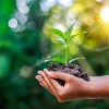 Chicago Public Schools to Host District-Wide Earth Day Events