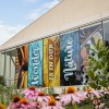 Chicago Academy of Sciences / Peggy Notebaert Nature Museum to Build New $1.5M Sustainability Center
