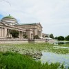 MSI Encourages Families to Celebrate Science All Summer Long