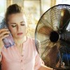 Heat Wave Safety Tips