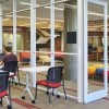 Triton College’s New SEED Program Helps Students with Disabilities