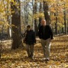 Experimente la Naturaleza Durante Todo el Otoño en las Reservas Forestales del Condado de Cook