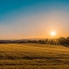 La Oficina Agrícola del Condado de Cook Será Anfitriona del 6.º Registro Agrícola del Condado