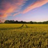 Cook County Farm Bureau® to Host 6th County Farm Crawl