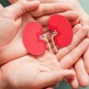 La Fundación Nacional del Riñón de Illinois Presenta, ‘Vivir con Enfermedad Renal y un Trasplante