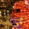 ZooLights Regresa a Lincoln Park Zoo Para la Temporada Navideña
