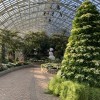 Chicago Conservatories Open 2023 Winter Flower Shows