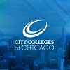 City Colleges of Chicago Take Part in the Caring Campus Program