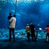 Días de Museo Gratis