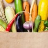 Pilot Program Underway to Help Improve Food Access for Chicago Residents with Disabilities