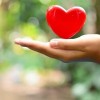 Ways to Keep Your Heart Healthy in 2023