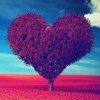 Heart Health Tips
