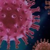 DPI Receives $2.36M Disease-Control Contract from CDPH