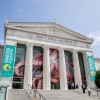Fuel Your Curiosity at Shedd Aquarium