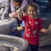 Satisface tu Curiosidad en el Acuario Shedd