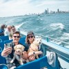 It’s Howl-O-Ween on Mercury Cruises
