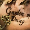 Navy Pier Presents New Halloween Event:  “Garden of Decay” an Immersive Halloween Experience