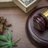 Learn How to Clear Your Cannabis Record for Free at WRLL Family Care Expo
