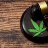 Aprenda Cómo Borrar su Registro de Cannabis de Forma Gratuita en WELL Family Care Expo