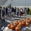La Iglesia Grace & Peace Celebra Festival Comunitario de Otoño
