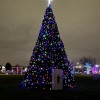 Funcionarios de Cicero Encienden las Luces Navideñas en la Ceremonia Anual de Iluminación del Arbol de Navidad