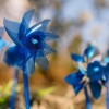 April is Child Abuse Prevention Month