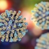 Cicero Health Department Warns Residents of Possible Measles Infection