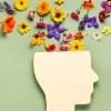 Peters Announces Funding for Chicago Mental Health Clinic