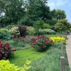 Lincoln Park Zoo Becomes Botanic Garden