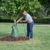 Morton Arboretum Shares Gardening Tips During Heat Wave