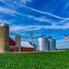 Cook County Farm Bureau® to Host Farm Crawl 2024