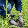 Las Comunidades de Illinois Reciben un Total de $200,000 en Subsidios Ambientales de ComEd y Openlands