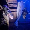Rough House Theatre Presenta House of the Exquisite Corpse
