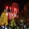 La Ciudad de Chicago Acepta Nominaciones para el Arbol de Navidad Oficial de Chicago de 2024