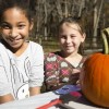 Forest Preserves of Cook County Celebrates Halloween with Trunk or Treat