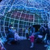 El Zoológico Brookfield de Chicago Ofrece Encantadoras Experiencias esta Temporada Navideña