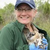 Osprey Found in South America, One Year After Banding in Forest Preserves