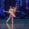 Salt Creek Ballet’s Production of ‘The Nutcracker’ Returns to The MAC