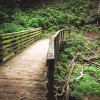 Start the New Year with a First Day Hike at an Illinois State Park