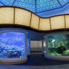 A Century in the Making: Shedd Aquarium’s Historic Rotunda Reimagined as the Wonder of Water Exhibit