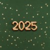 Cumpla Sus Propósitos de Año Nuevo