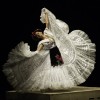 The Auditorium Presents Ballet Folklórico de México de Amalia Hernández