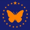 ¿Año Nuevo, Bandera Nueva? Comienza la Votación Pública para Rediseñar la Bandera Estatal