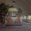Upcoming 2025 Free Days and Nights at Shedd Aquarium